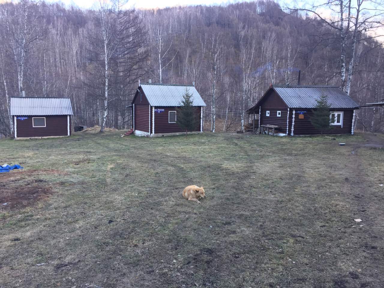 Отель Будапешт
